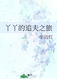 丫丫的追夫之旅